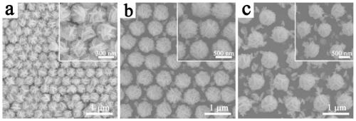 SERS substrate based on Au @ Ag nanoparticle ordered array as well as preparation method and application thereof