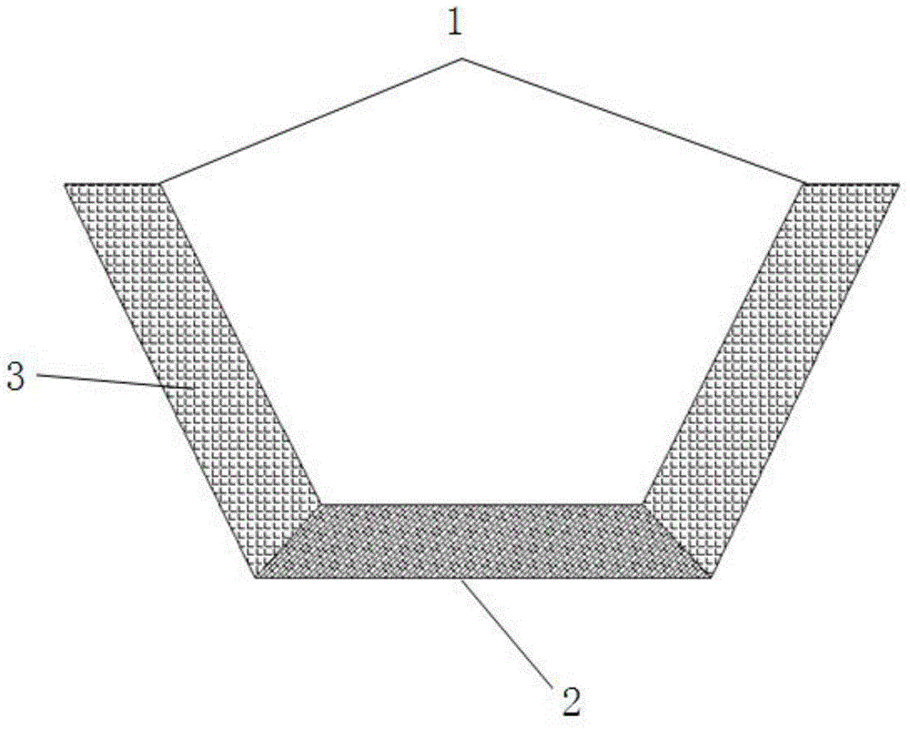 Biological purifying system of water body on side slope of river or lake