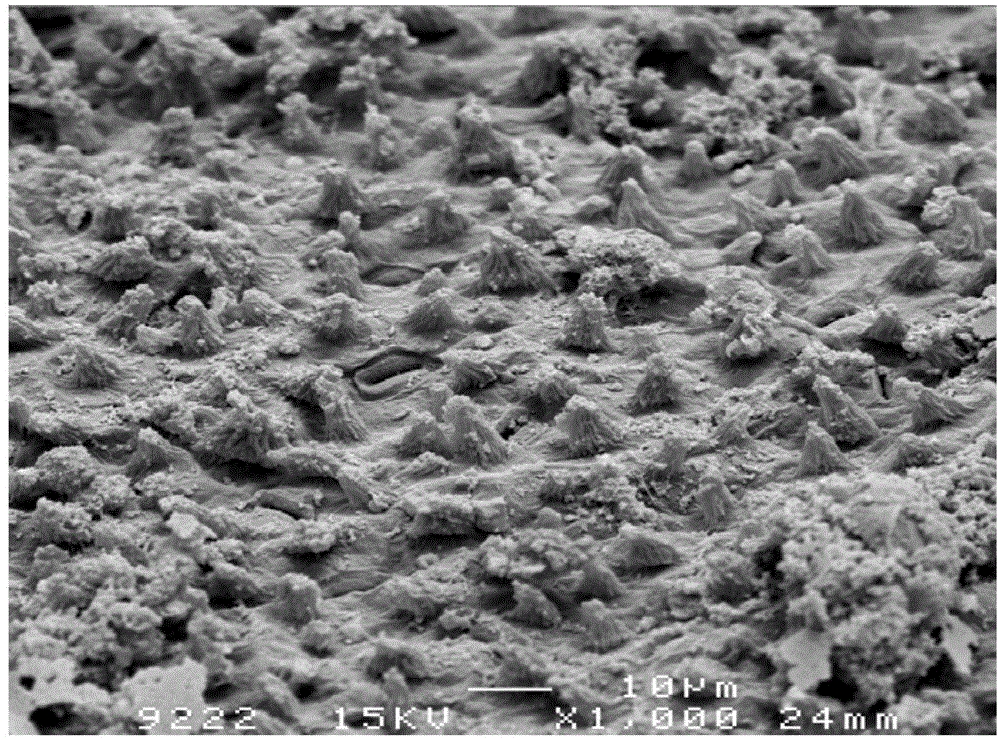 Method for preparing carbon/zinc oxide super-hydrophobic ceramic by sintering plant leaves