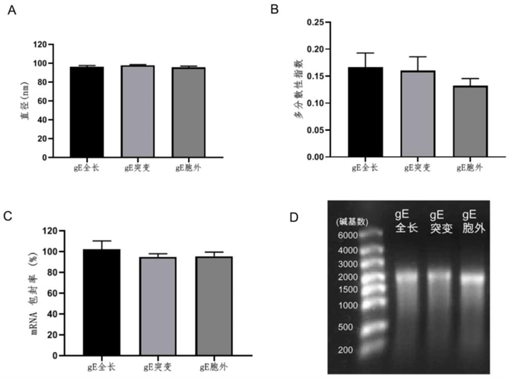 Varicella-herpes zoster mRNA vaccine composition, and preparation method and application thereof