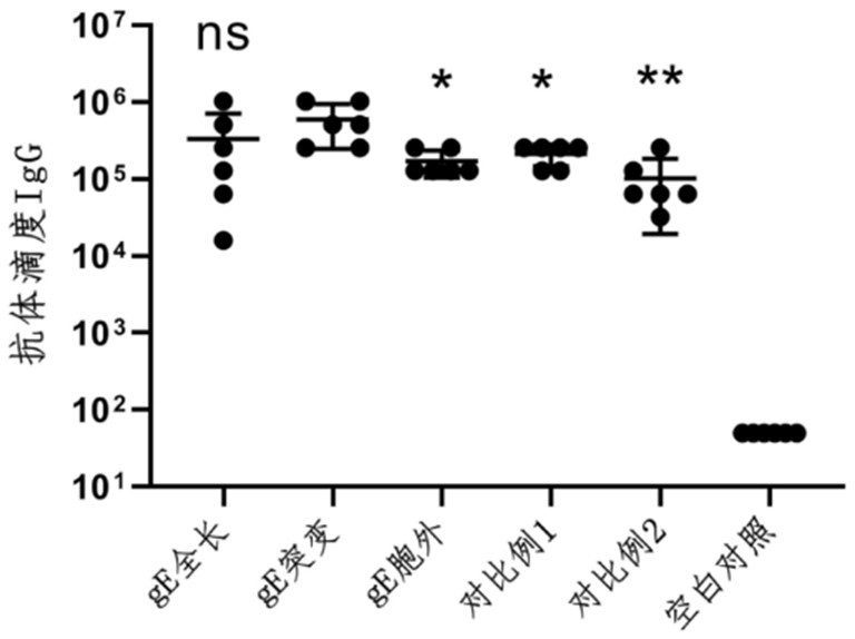 Varicella-herpes zoster mRNA vaccine composition, and preparation method and application thereof