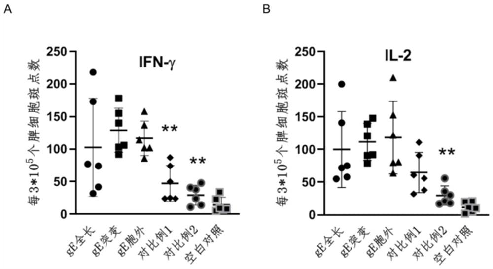 Varicella-herpes zoster mRNA vaccine composition, and preparation method and application thereof