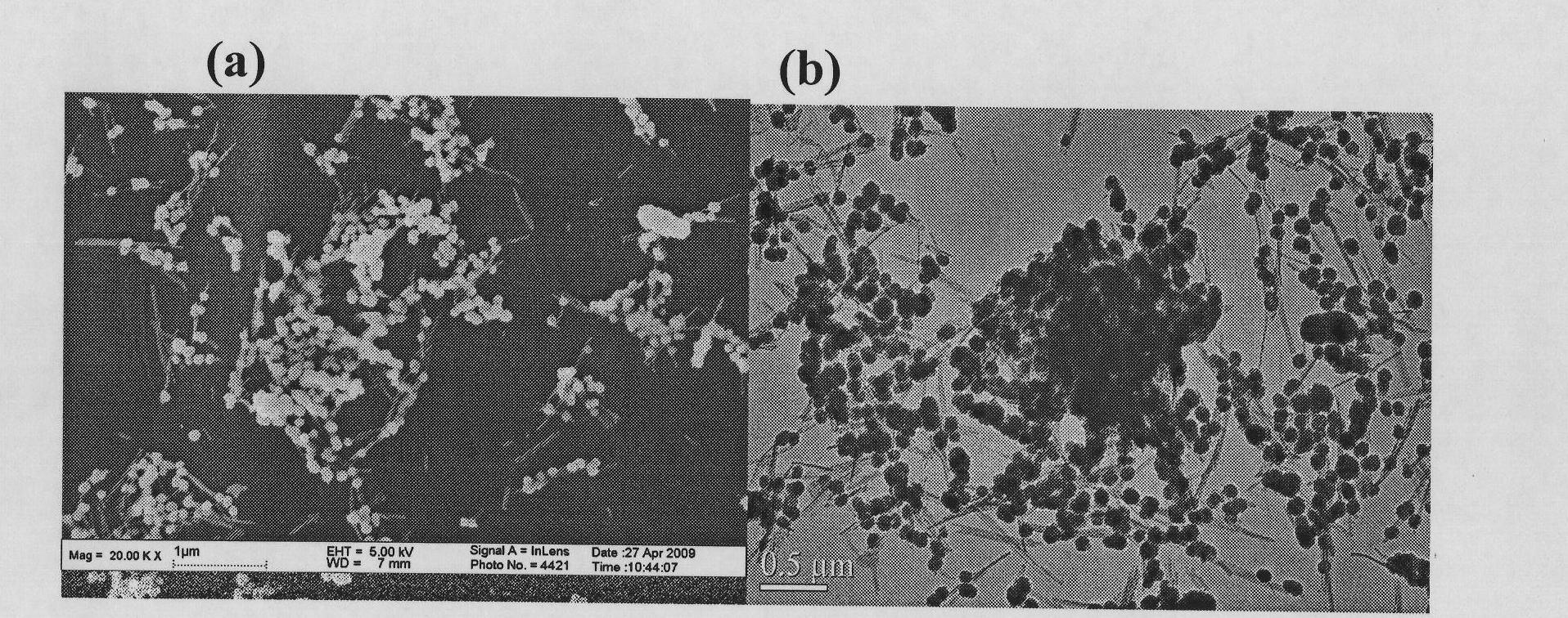 Method for preparing multiwall carbon nanotube-supported titanium dioxide catalyst