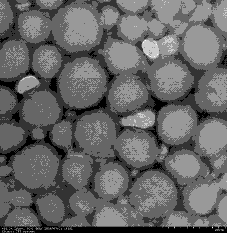 Polymer nano-vesicle for co-delivering drug and perfluorooctylbromide, as well as preparation method and application thereof