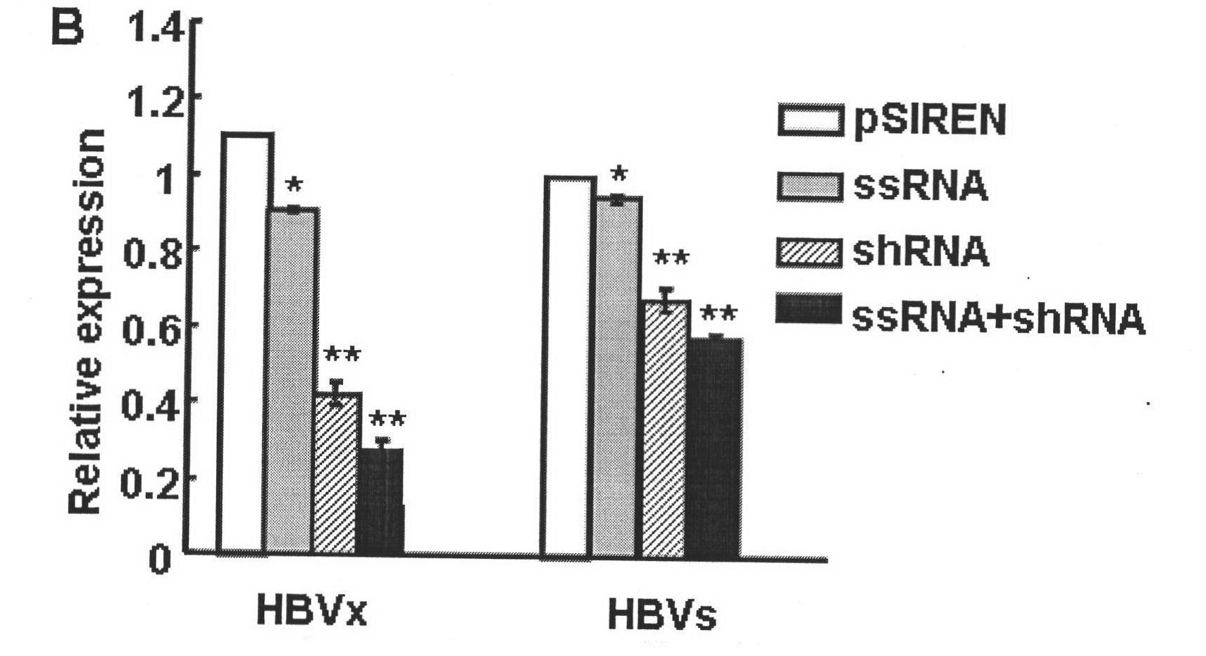 Dual expression vector for immunostimulatory RNA and HBV target gene silence RNA, construction and application thereof