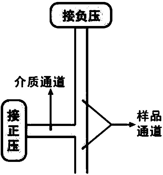 Droplet injector and droplet injection method using droplet injector