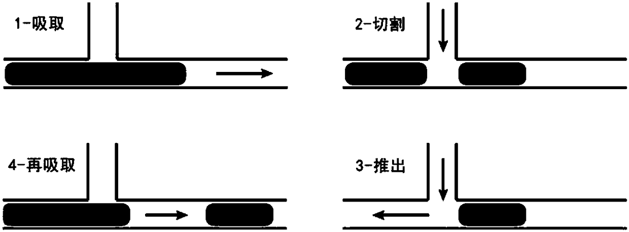 Droplet injector and droplet injection method using droplet injector