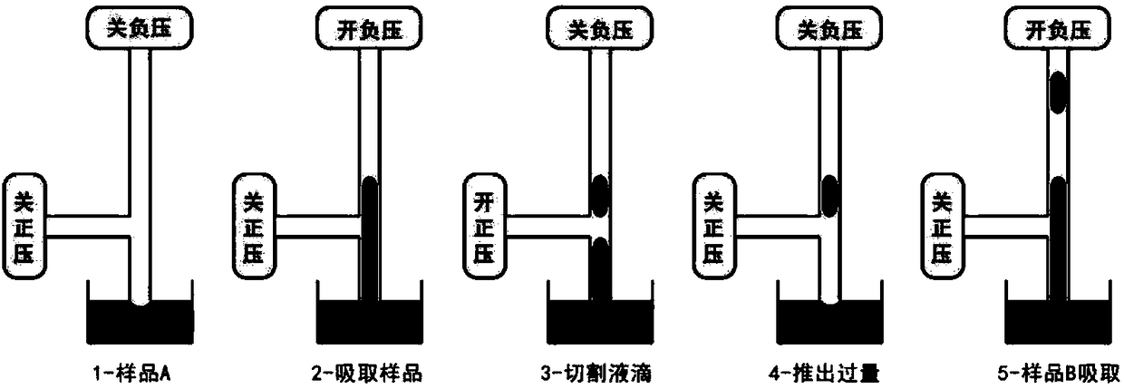 Droplet injector and droplet injection method using droplet injector