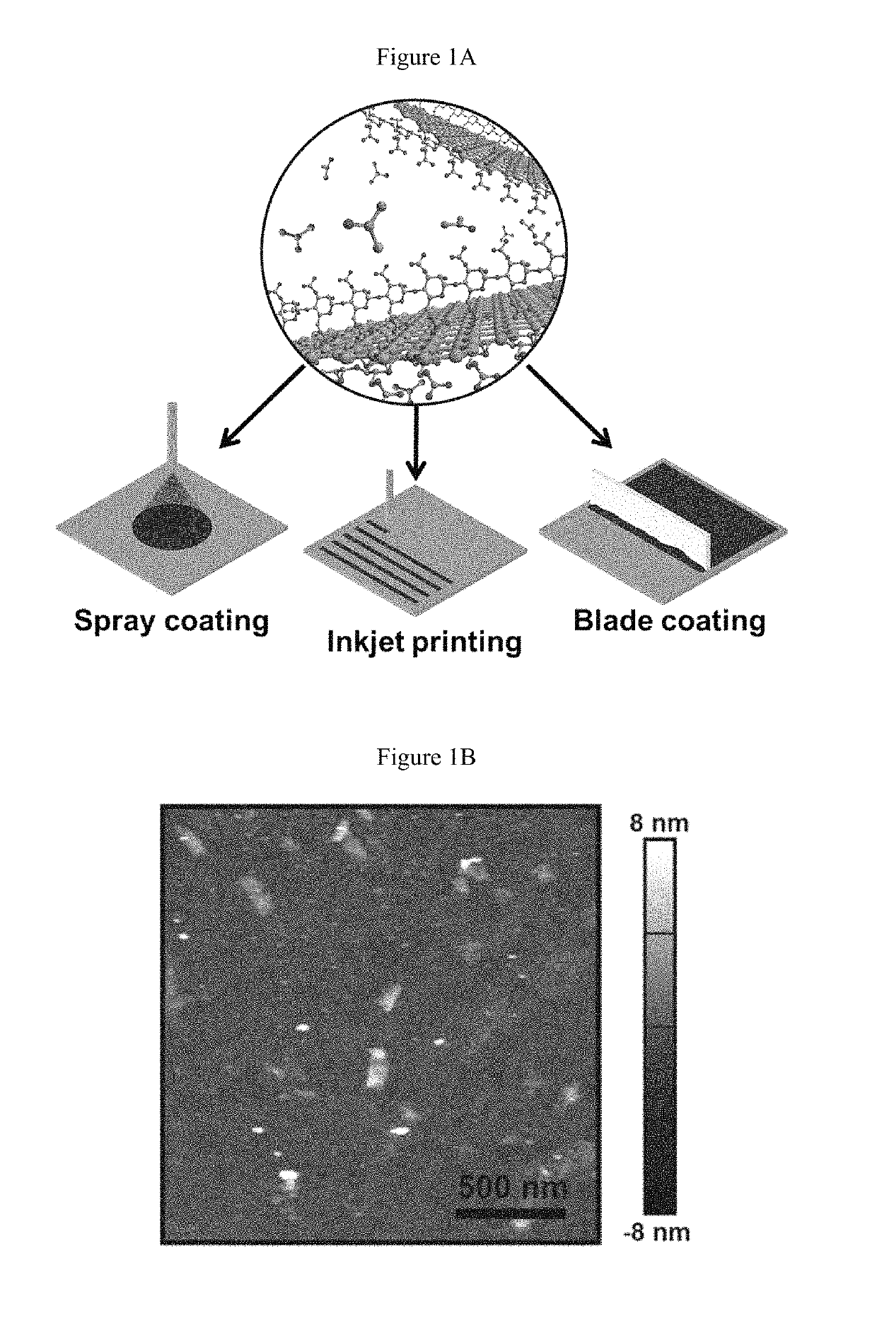 Enhanced conductivity, adhesion and environmental stability of printed graphene inks with nitrocellulose