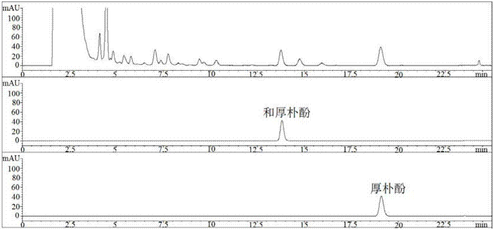 Detection method of medicinal preparation of cortex magnoliae officinalis seven-object soup