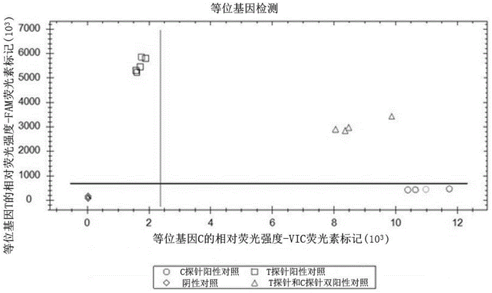 Probe pair, primer and kit used for prognosis evaluation of primary liver cancer