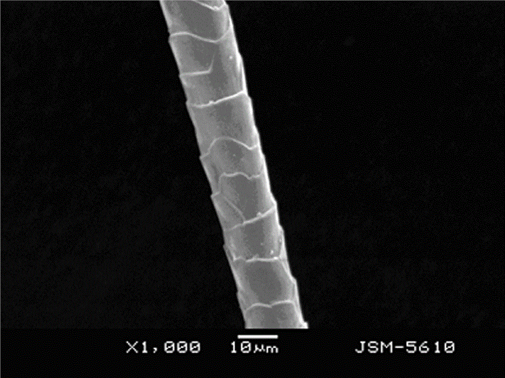 A method for catalytic oxidation modification of wool surface