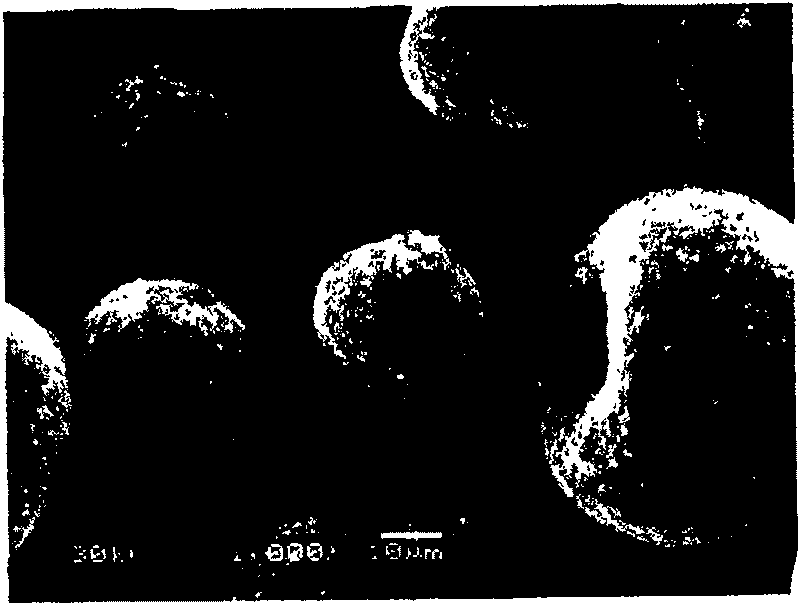 Silicon carbone compound negative polar material of lithium ion battery and its preparation method