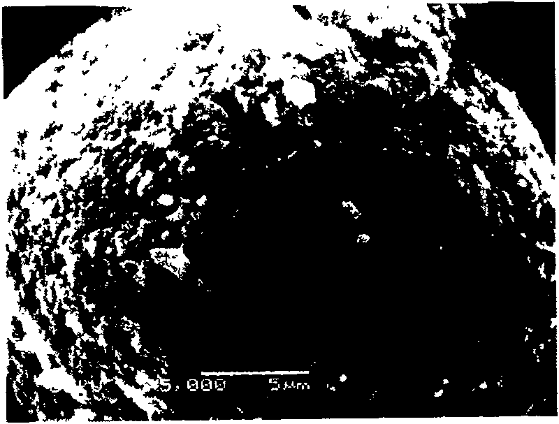 Silicon carbone compound negative polar material of lithium ion battery and its preparation method