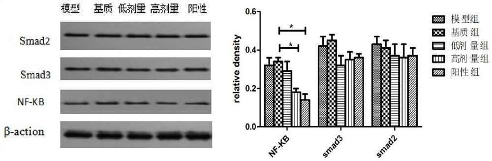 A kind of traditional Chinese medicine compound hydrogel for treating skin wound healing and its preparation method and application