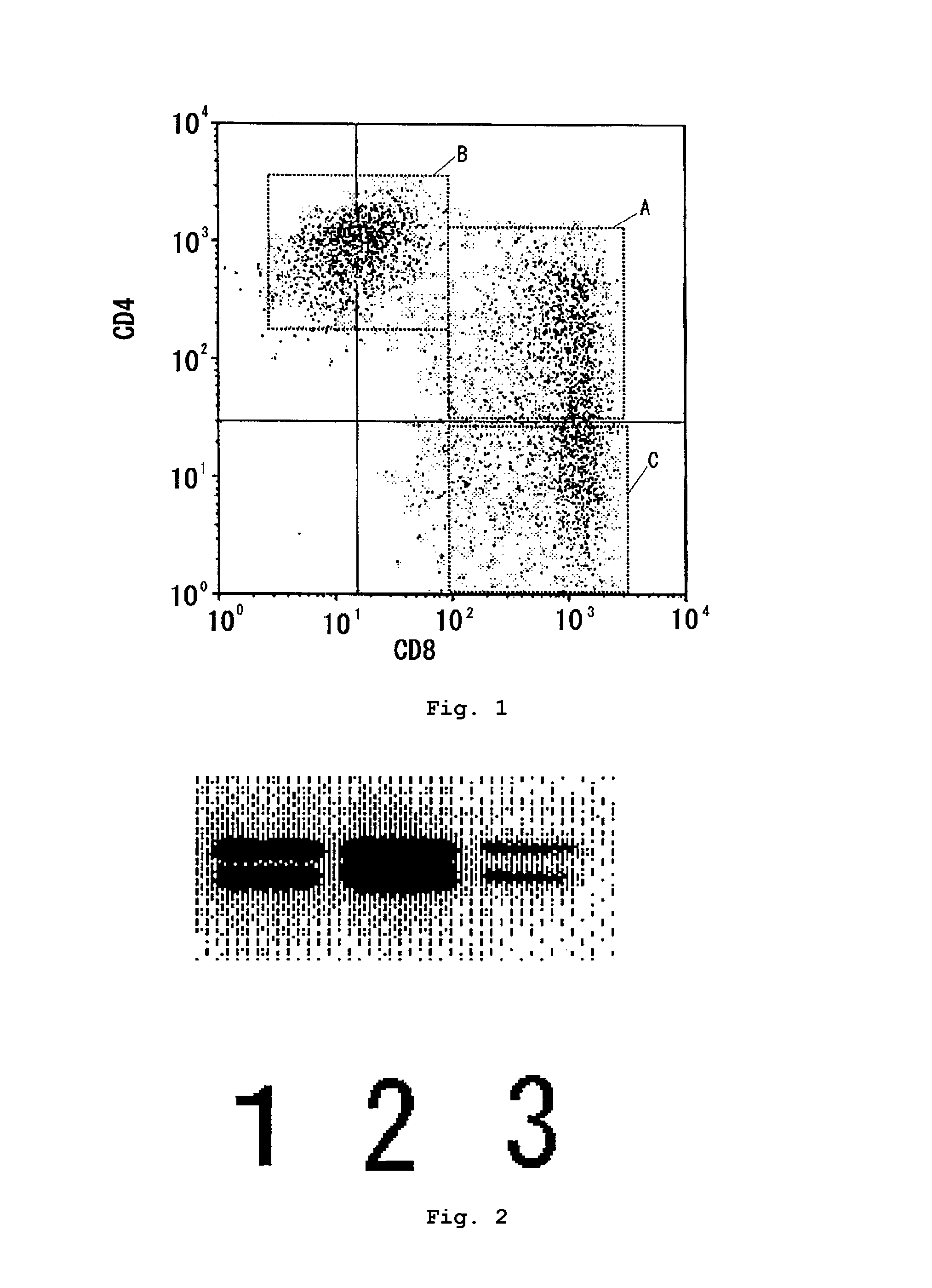 Human T-cell population