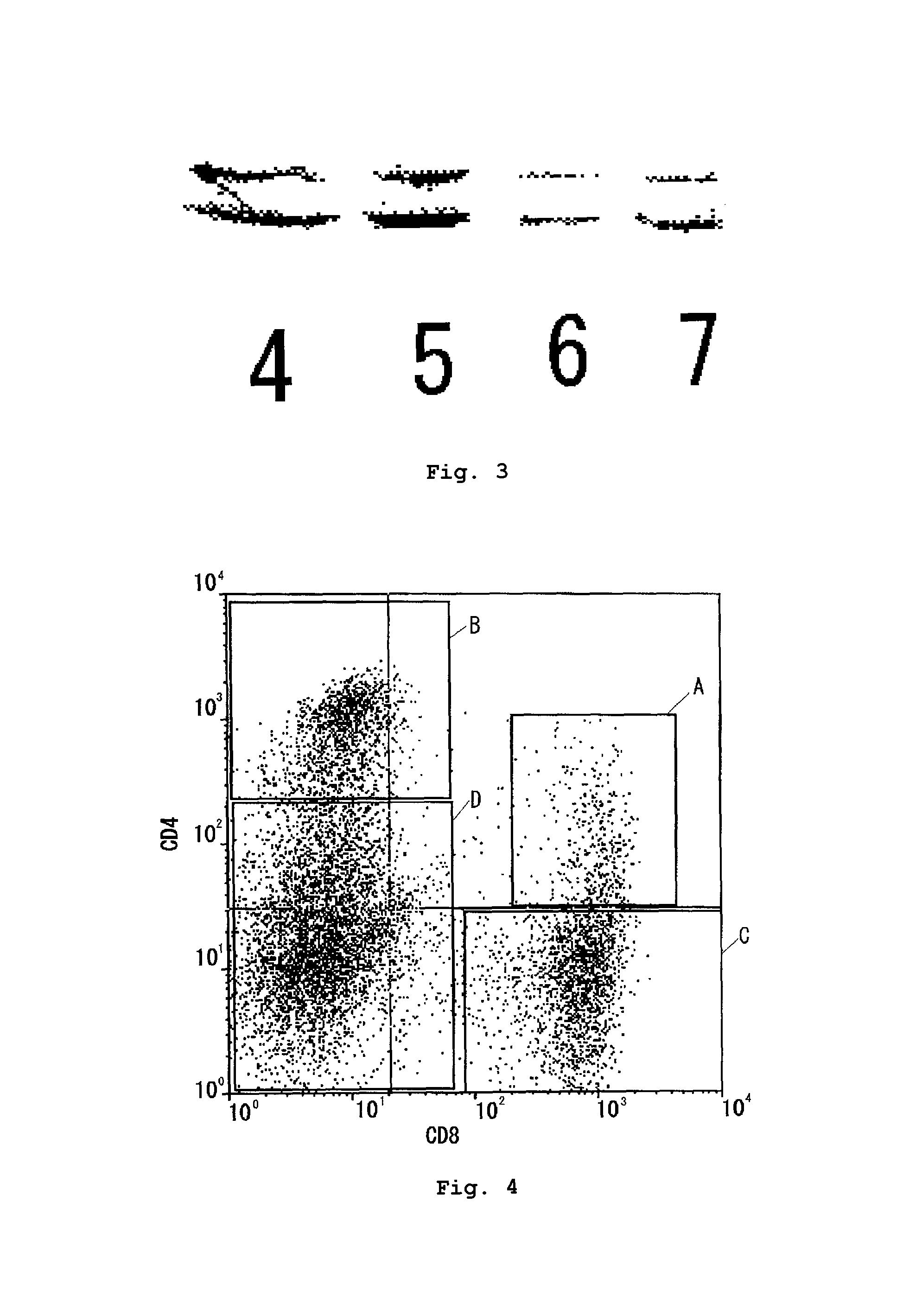 Human T-cell population