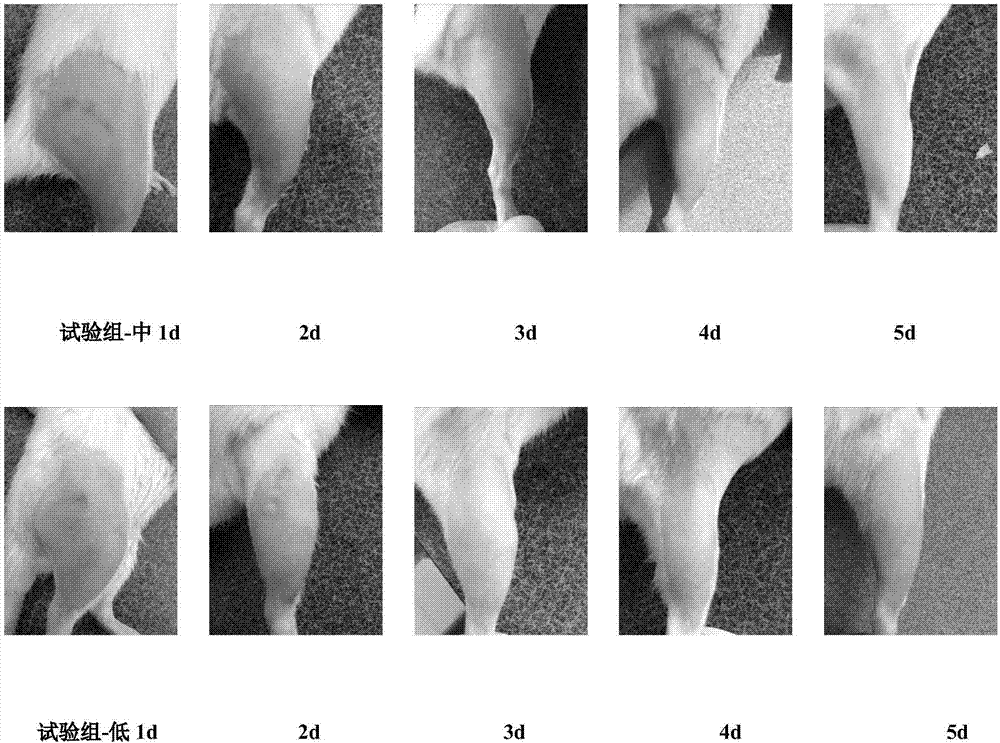 Pharmaceutical composition for treating acute soft-tissue injury