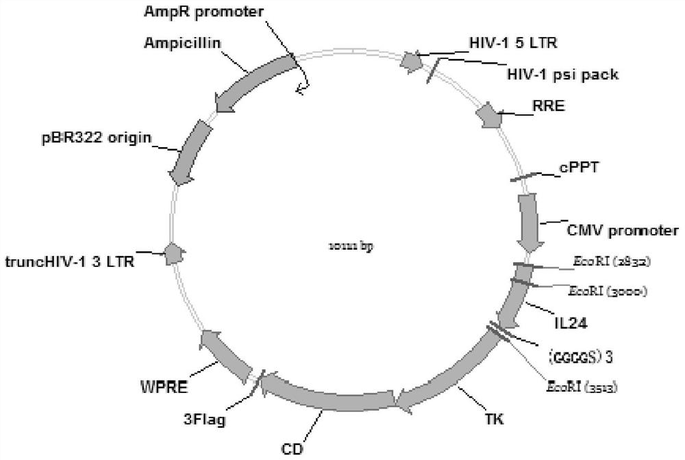 Tumor-specific gene expression cassette, recombinant expression vector, construction method and application