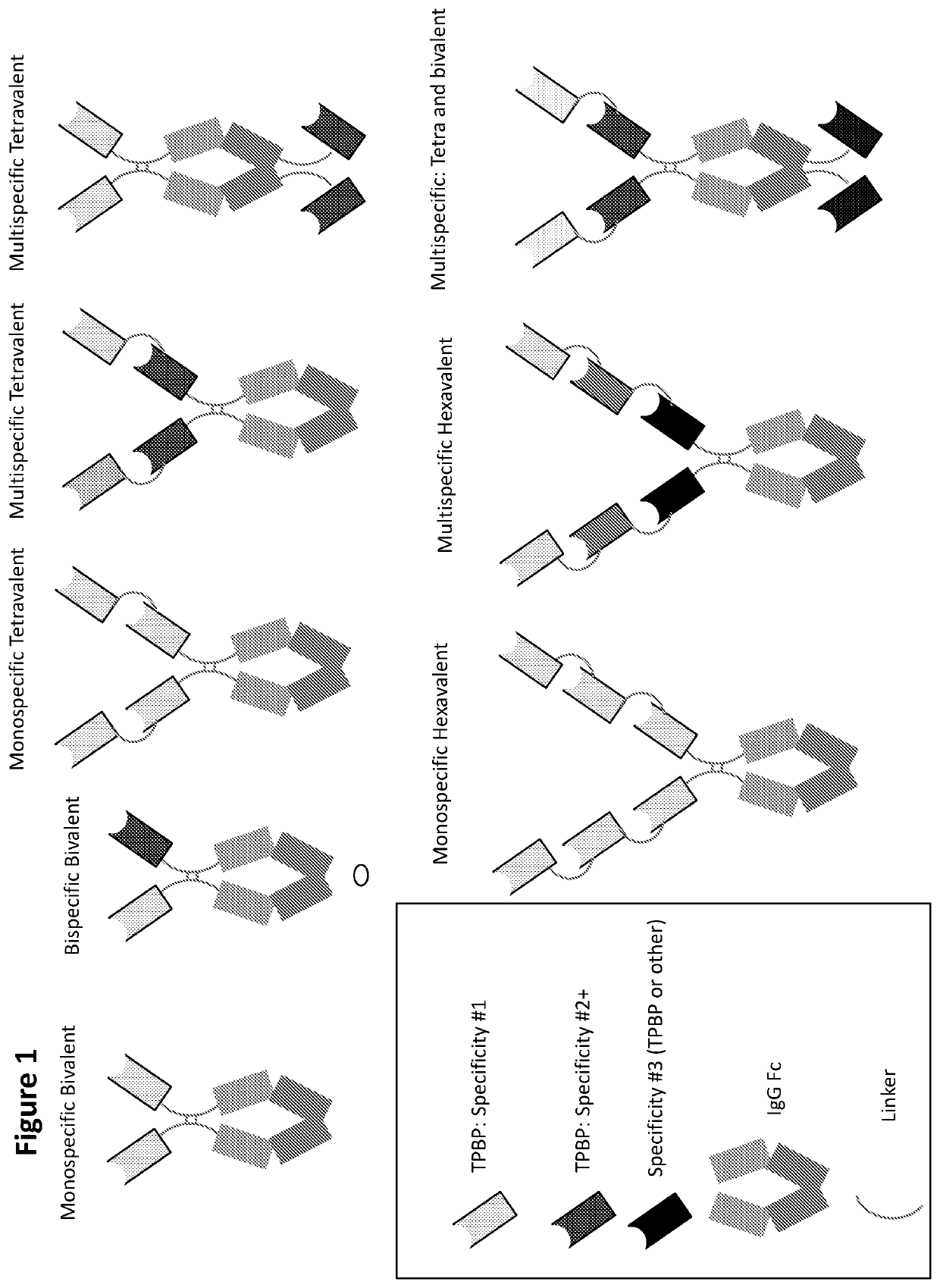 Type III Secretion System Targeting Molecules