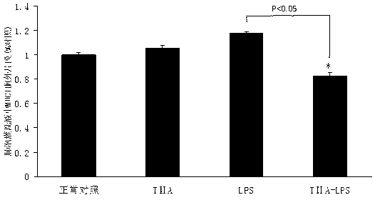 Application of tanshinone IIA or pharmaceutically acceptable salt in preparation of medicament for treating or inhibiting mucus in wind pipe