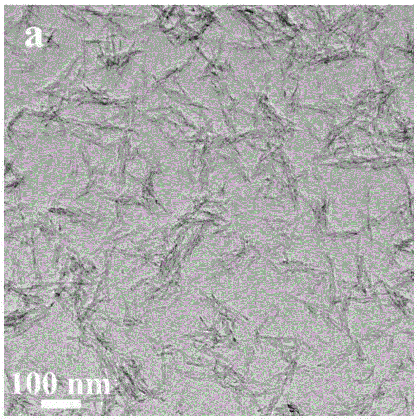 Method for preparation of controlled pore size biphasic calcium phosphate composite ceramic scaffold