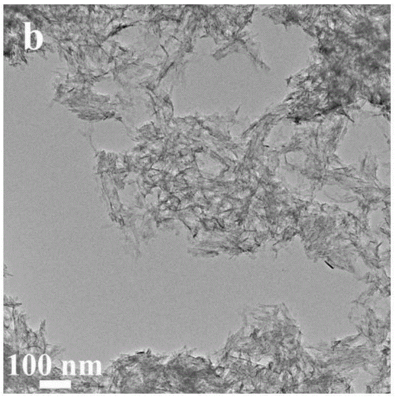 Method for preparation of controlled pore size biphasic calcium phosphate composite ceramic scaffold