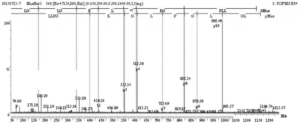 Separation method of collagen antifreeze peptide