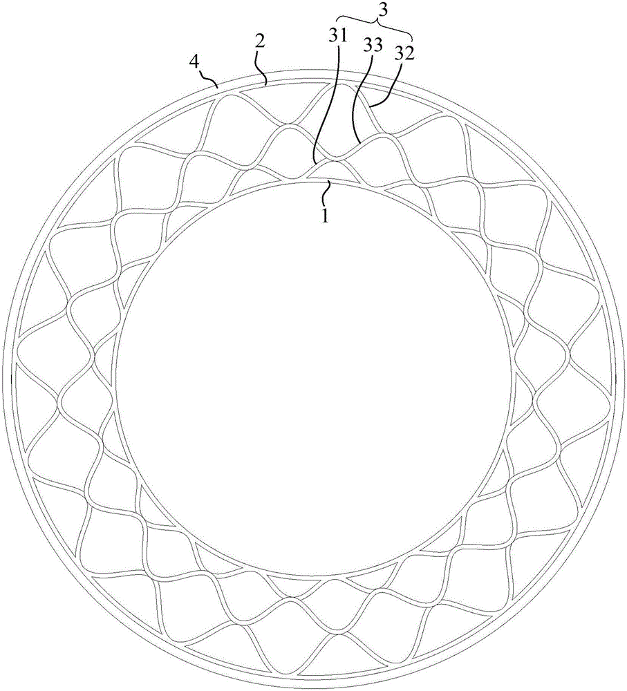 Non-pneumatic tyre