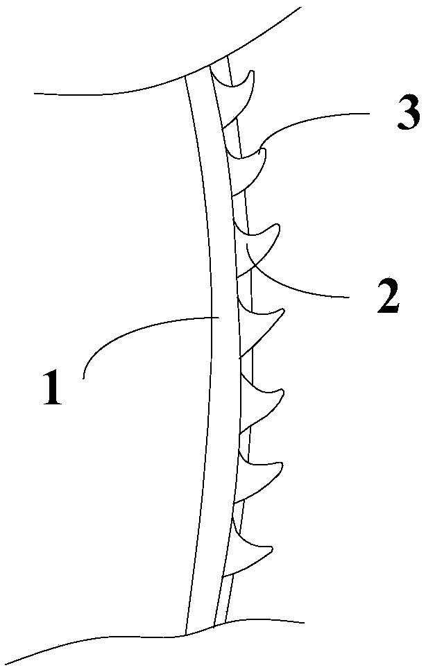 Metal card clothing and processing method thereof