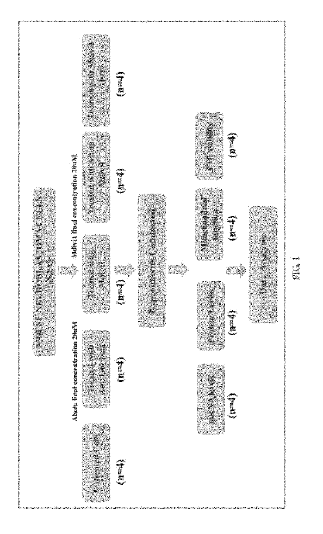 Mitochondria-Division Inhibitor 1 Protects Against Amyloid-B Induced Mitochondrial Fragmentation and Synaptic Damage in Alzheimer's Disease