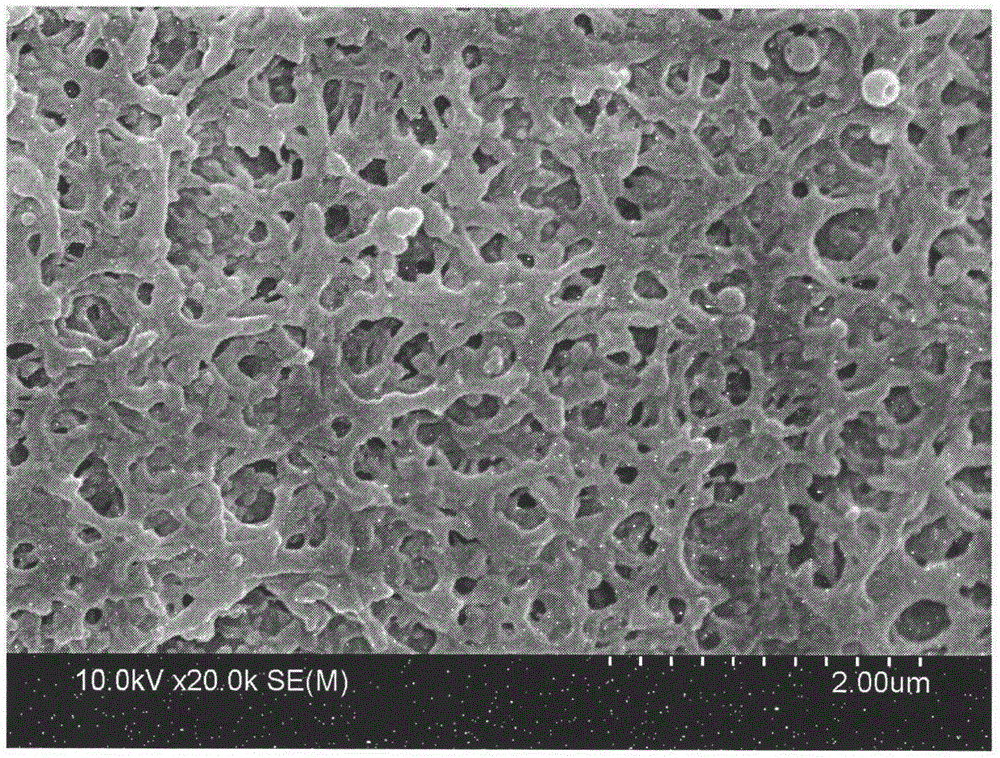 Novel preparation method of high-performance composite film