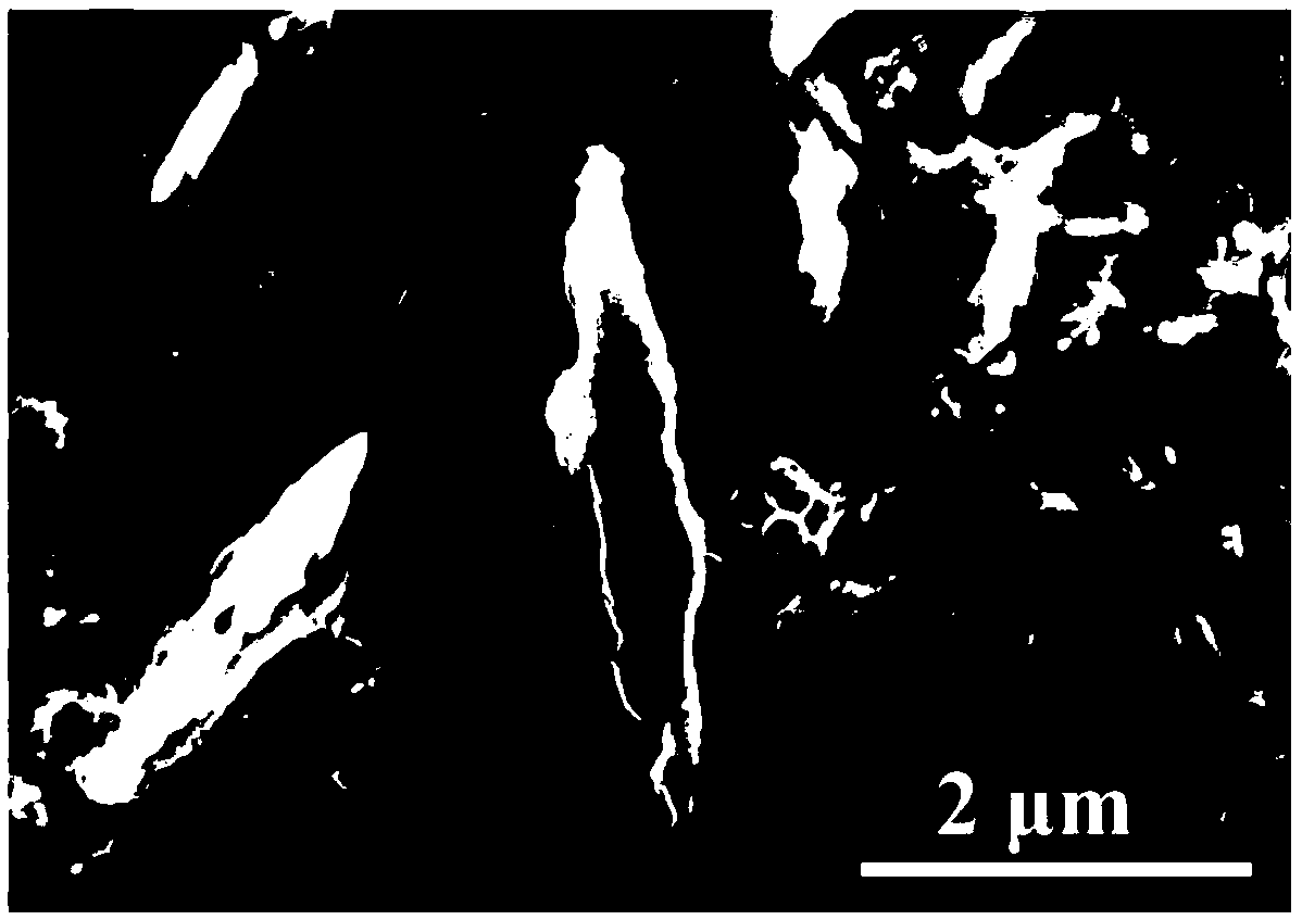 Lithium metal anode material based on tio2 nanotube array/titanium foam and preparation method thereof