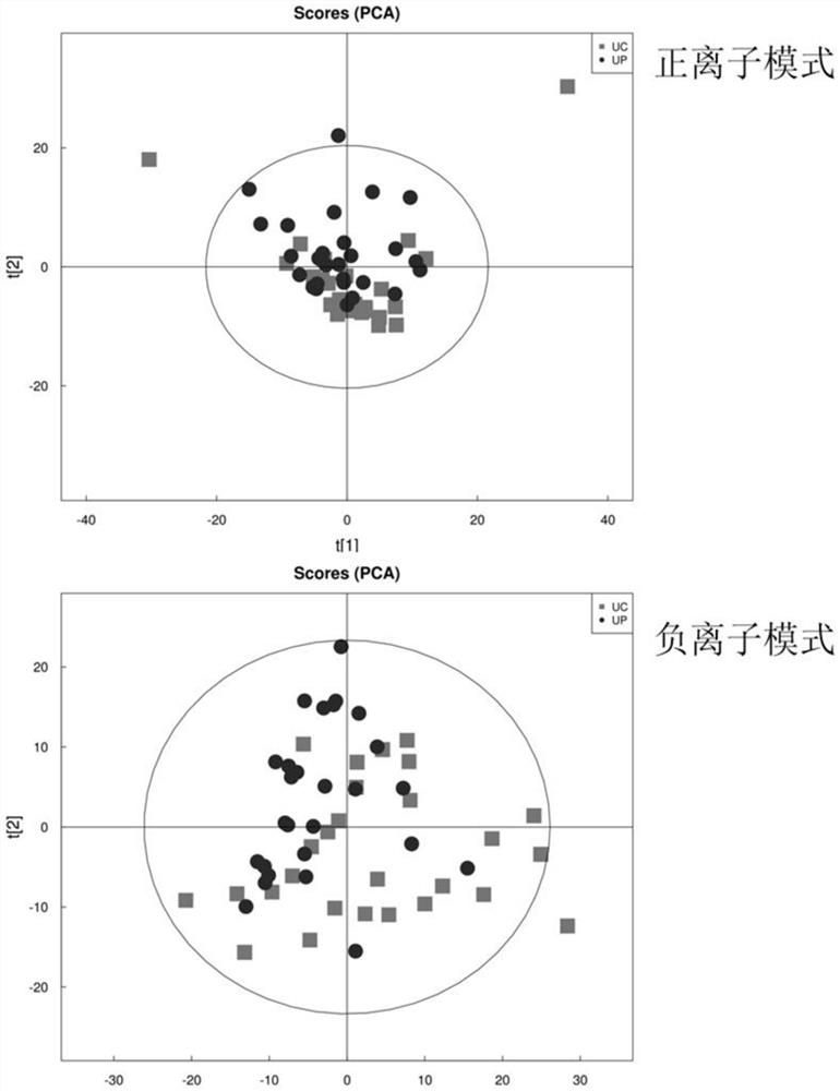 Application of detection reagent of nasopharynx cancer related urine marker combination