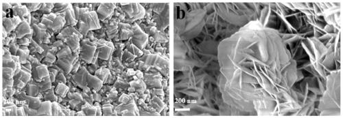 Molybdenum disulfide quantum dot modified molybdenum carbide/foamed nickel composite material, preparation method and application of the composite material in electrocatalytic oxygen evolution