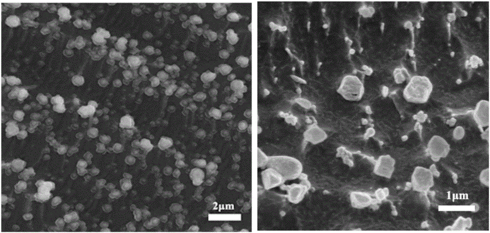 Ganoderan lipid-based cubic liquid crystal as well as preparation method and application thereof