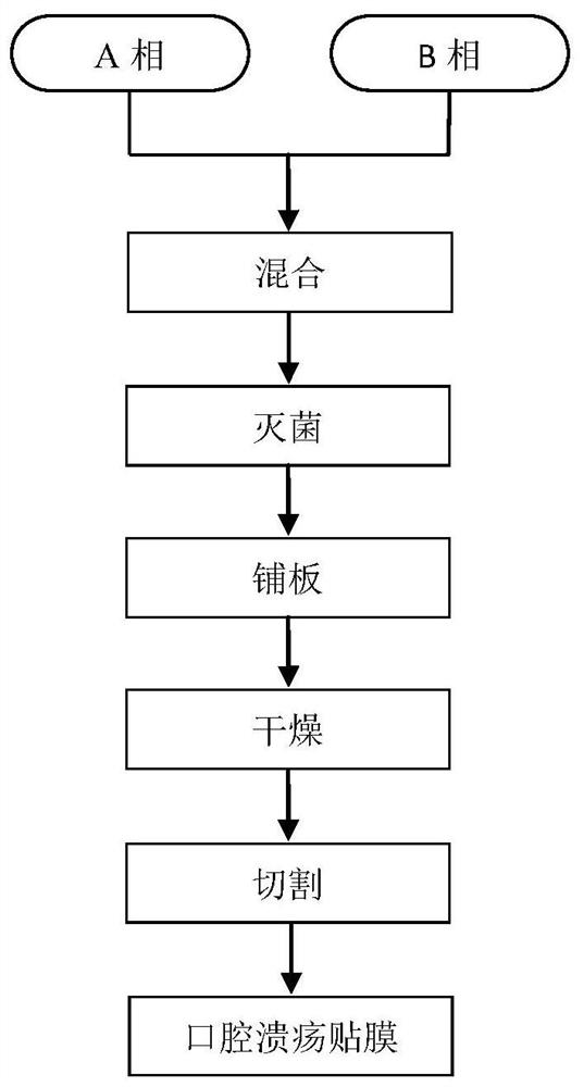 Oral ulcer film with repairing effect and preparation method of oral ulcer film