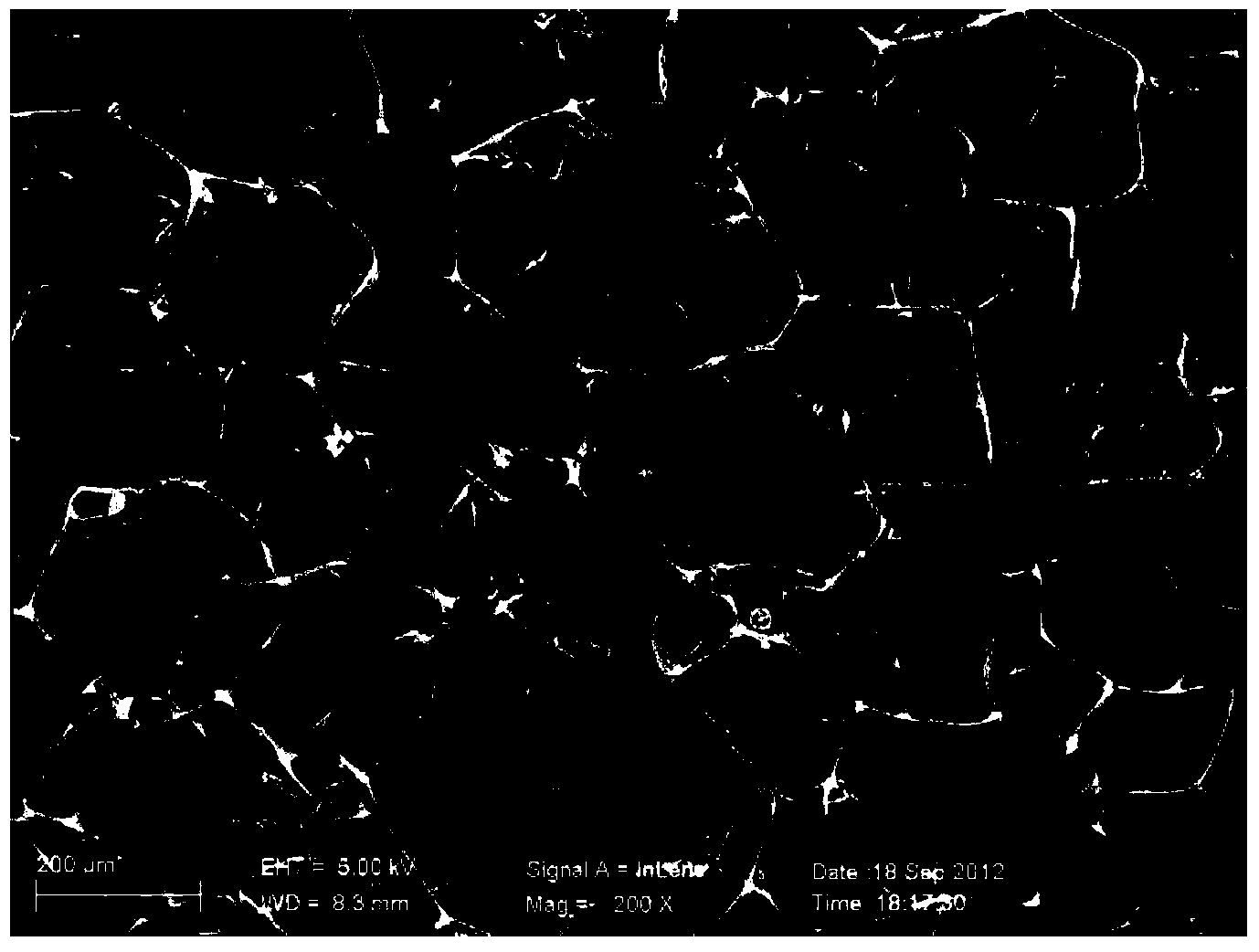 Preparation method of oil-water separation material