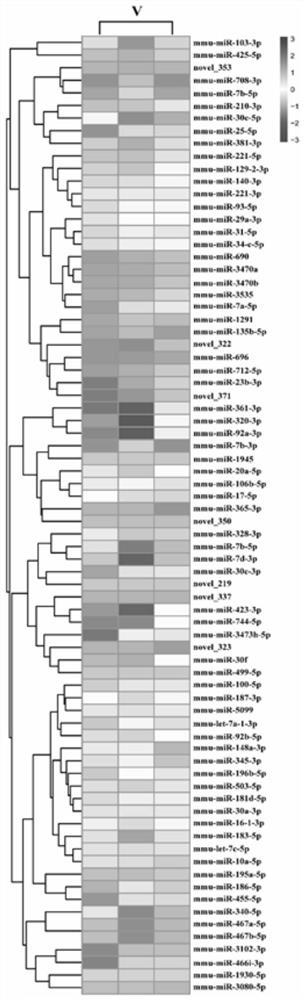 Exosome of mouse lung telocyte line as well as extraction method and application of exosome