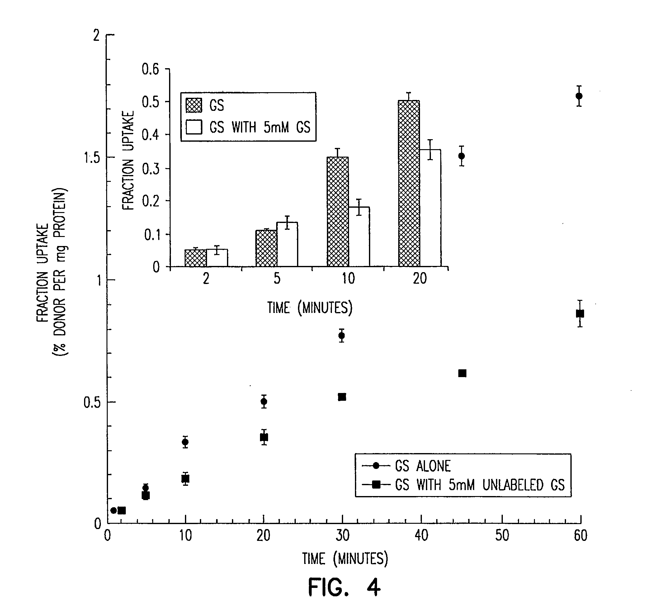 Acyclovir-peptide analogs