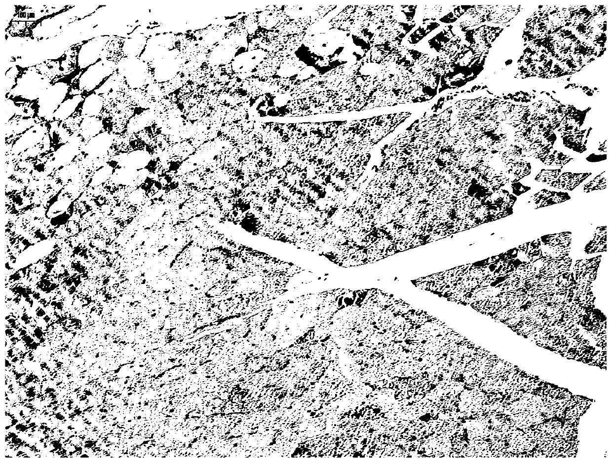 Hemostatic material and its preparation method and application