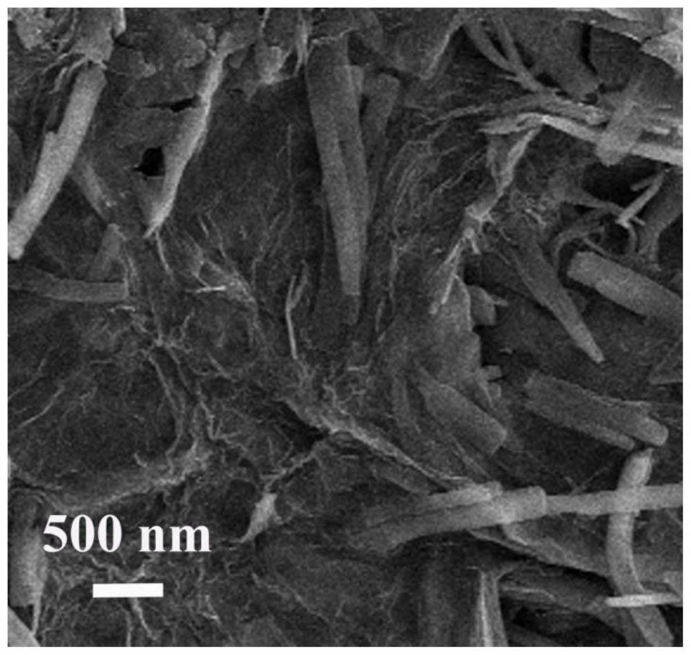 HATN@graphene-containing anti-corrosion coating and preparation method thereof