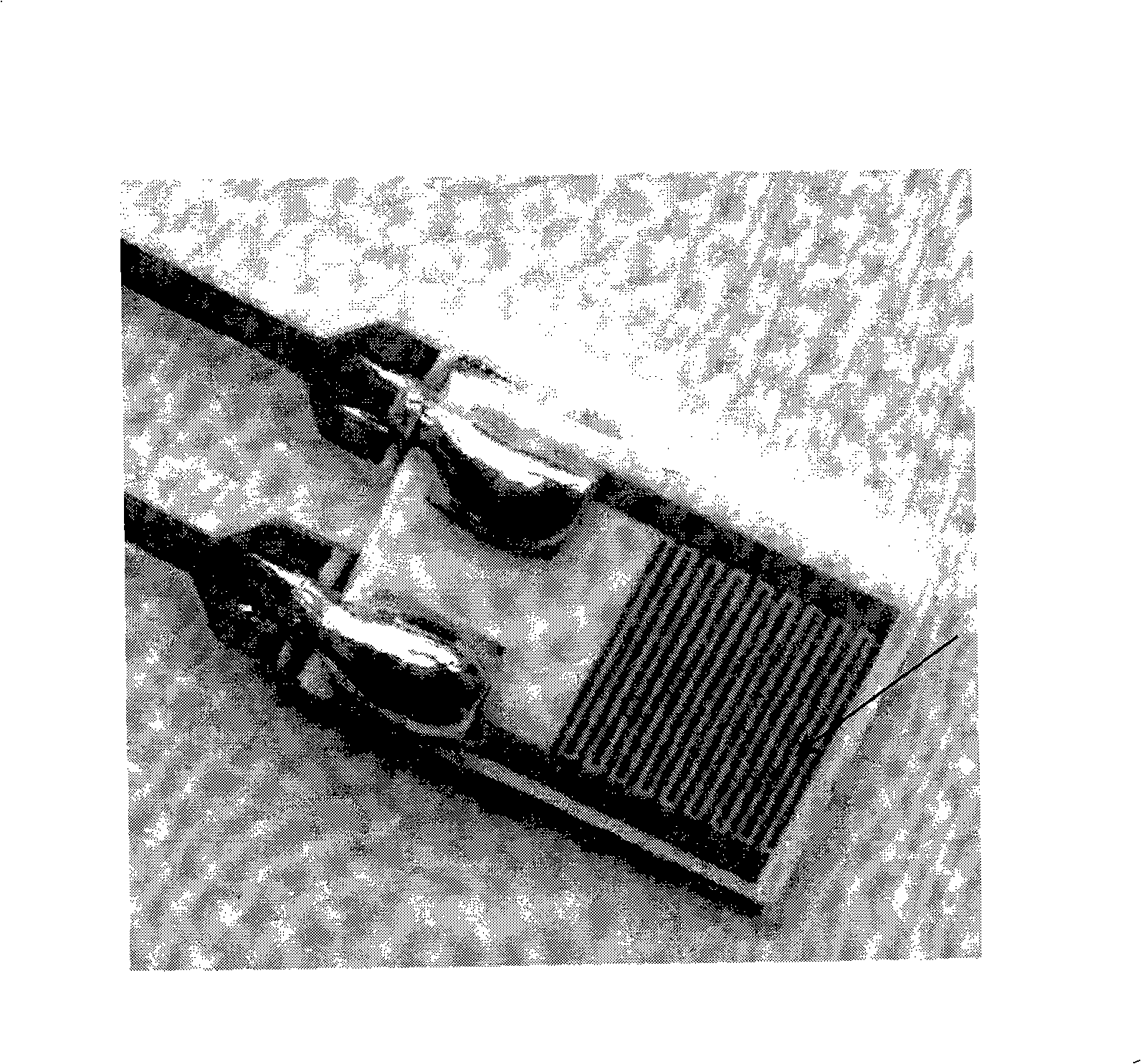 Enzyme catalysis electricity-conducting immunity sensor based on micro-gap array electrode and its immunity detecting method