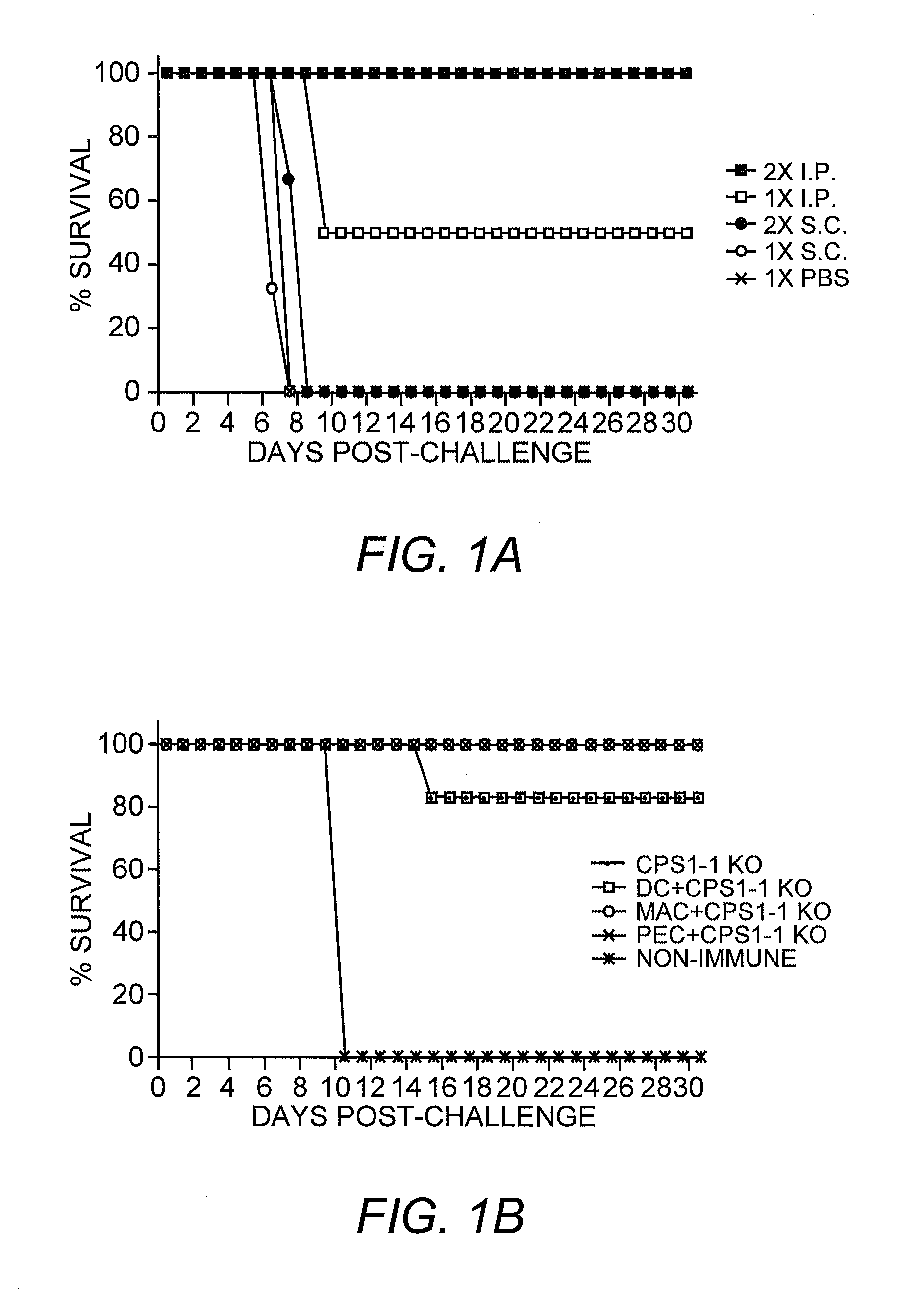 Toxoplasma gondii mutant with enhanced homologous recombination and uses thereof