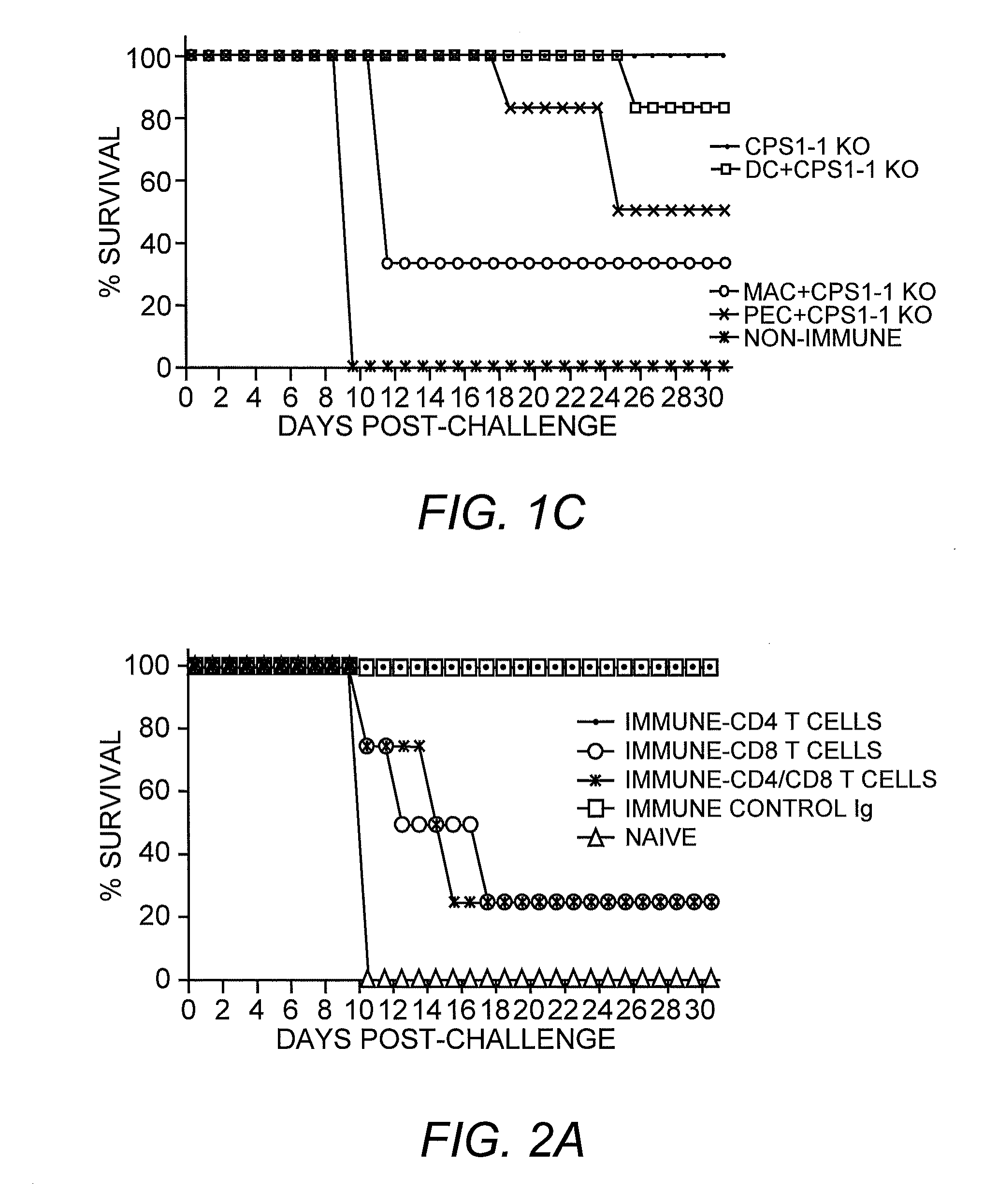 Toxoplasma gondii mutant with enhanced homologous recombination and uses thereof