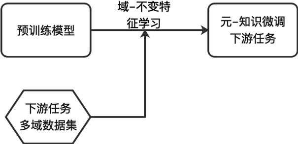 Meta-knowledge fine adjustment method and platform based on domain invariant features