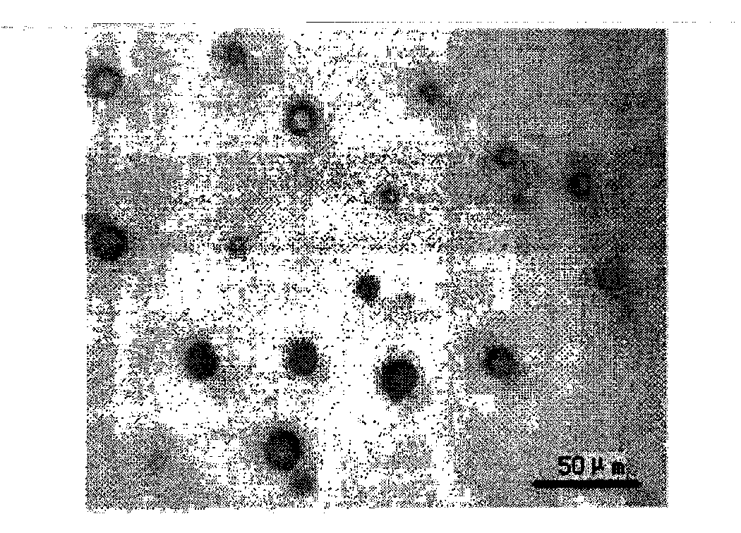 Danofloxacin mesylate microsphere formulation for livestock and poultry and preparation method thereof