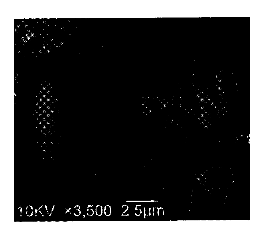 Danofloxacin mesylate microsphere formulation for livestock and poultry and preparation method thereof