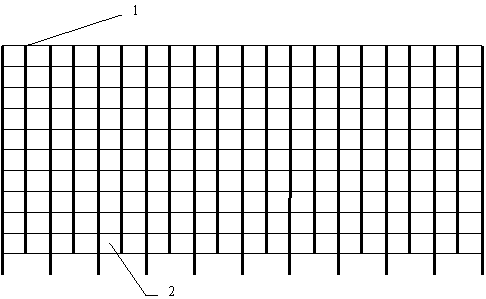 Rapid shaping method of euonymus japonicus cylindrical seedlings