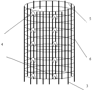 Rapid shaping method of euonymus japonicus cylindrical seedlings